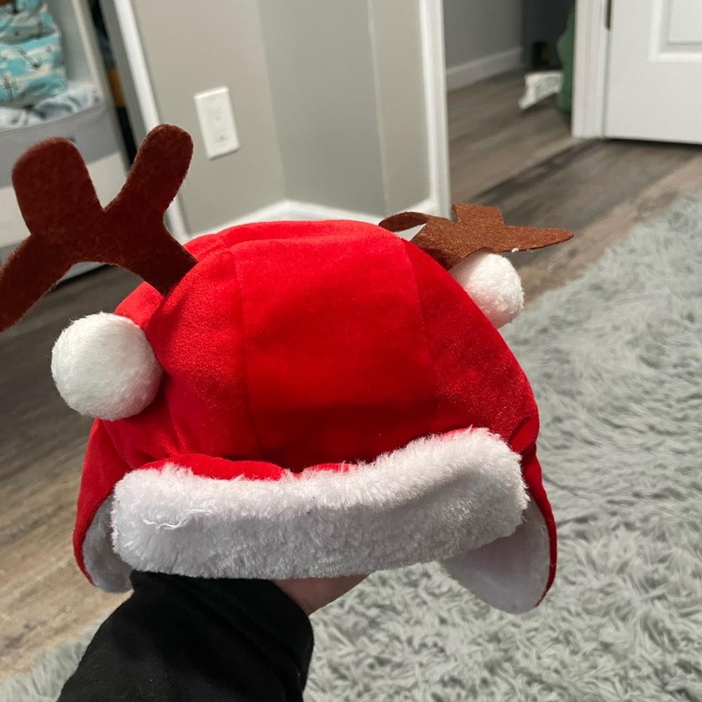 Christmas/Winter Hats